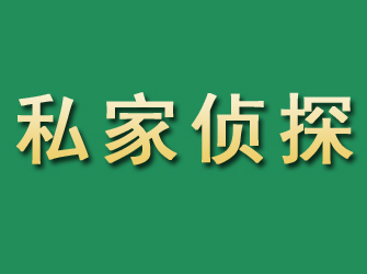 南山市私家正规侦探